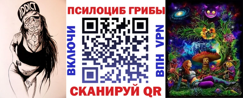 купить наркоту Кирсанов Псилоцибиновые грибы ЛСД